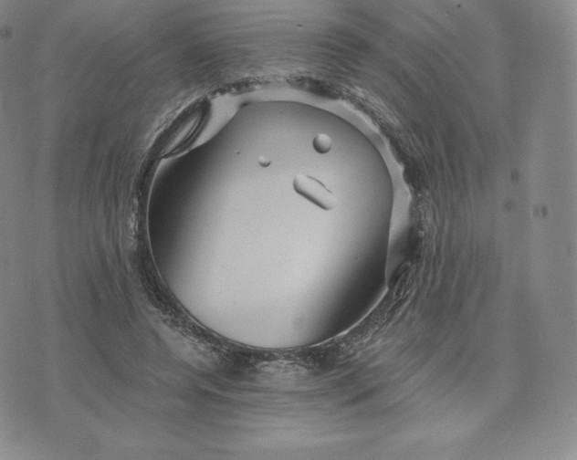 X0000074010544200609111626