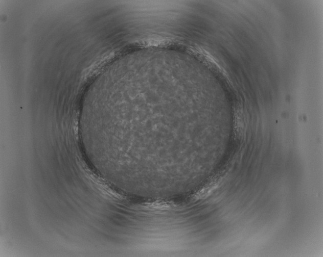 X0000074010545200609111626