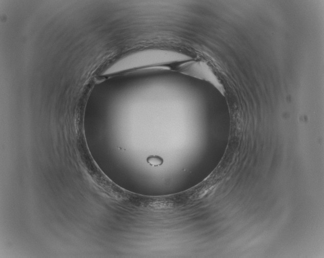 X0000074010546200609111626