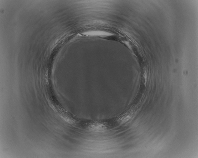 X0000074010547200609111626