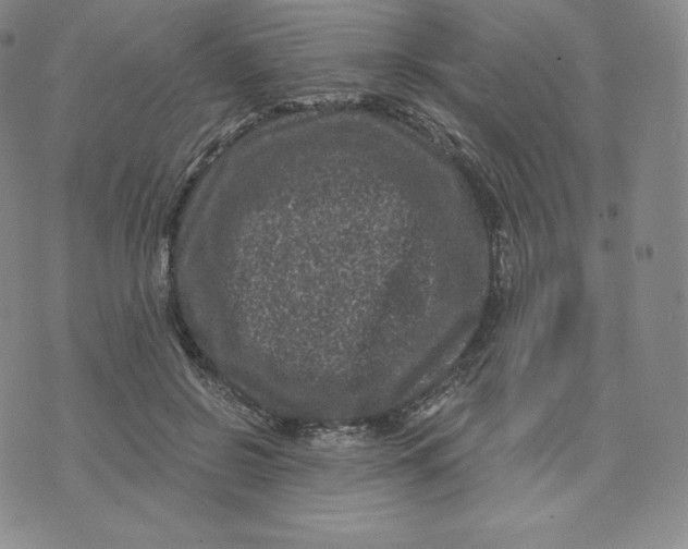 X0000074010550200609111626