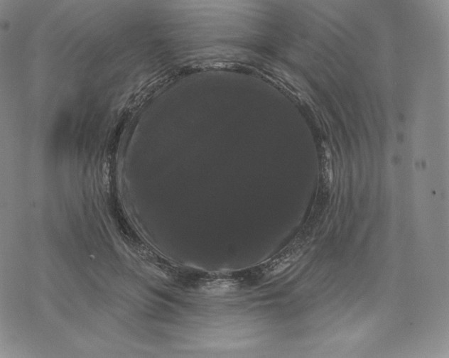 X0000074010551200609111626