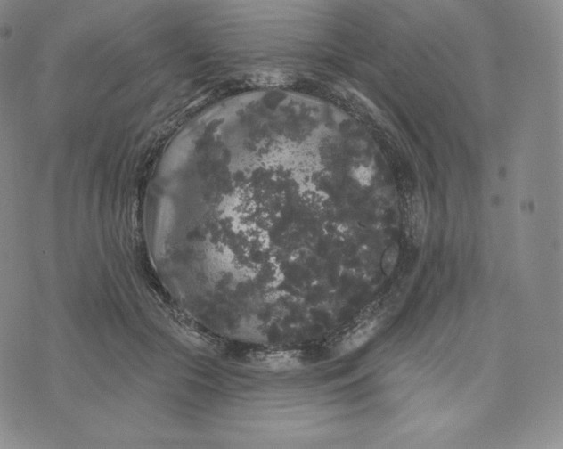 X0000074010553200609111626