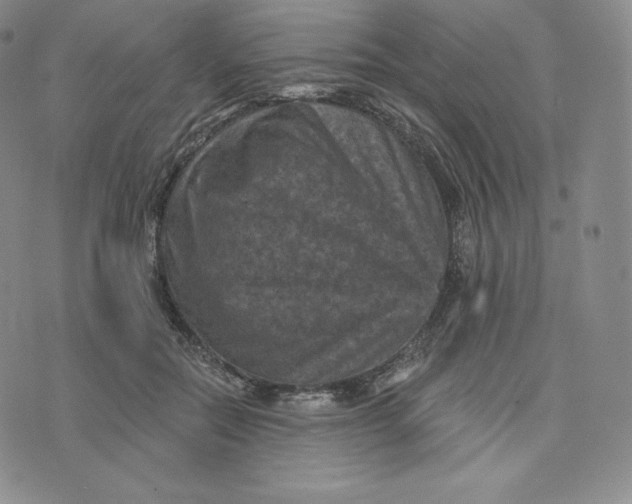 X0000074010554200609111626