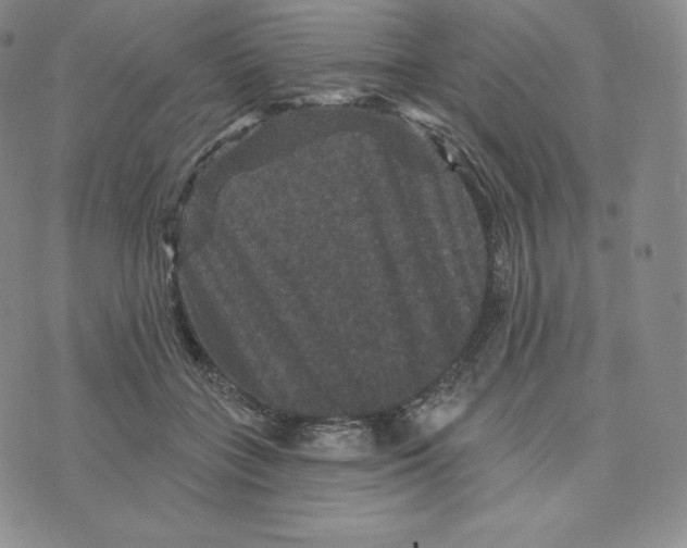 X0000074010555200609111626