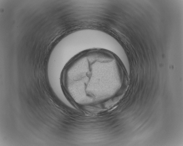 X0000074010556200609111626