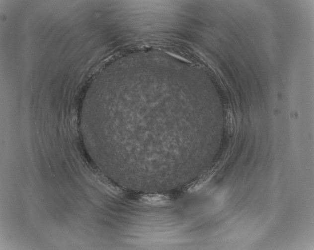 X0000074010557200609111626