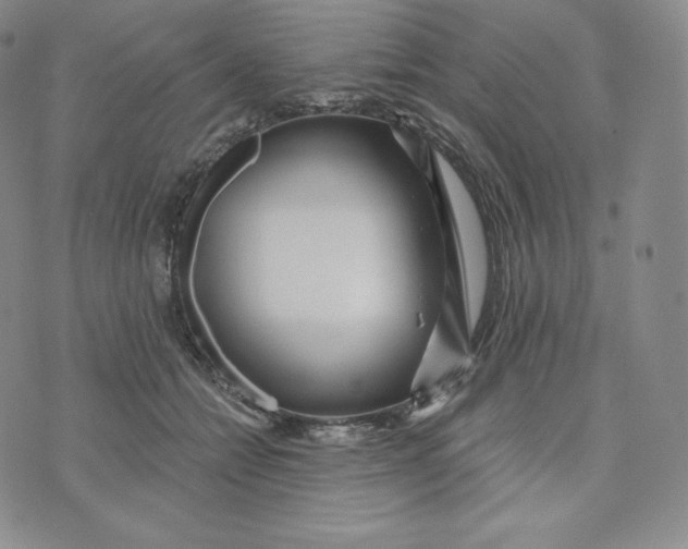 X0000074010558200609111626