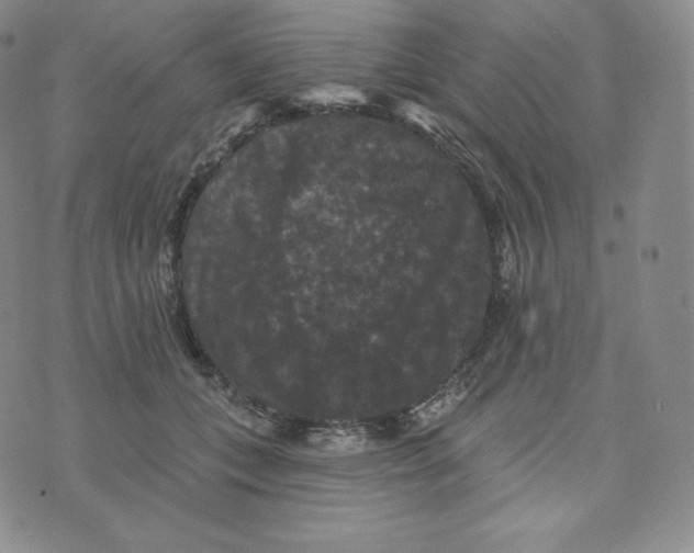 X0000074010559200609111626