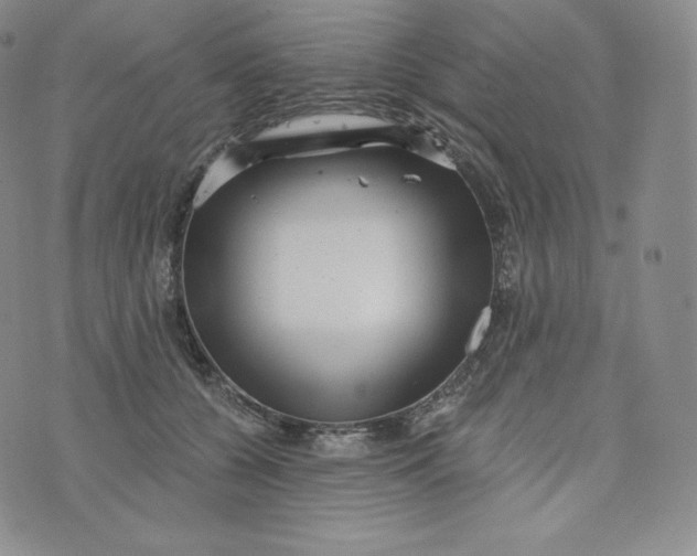 X0000074010560200609111626