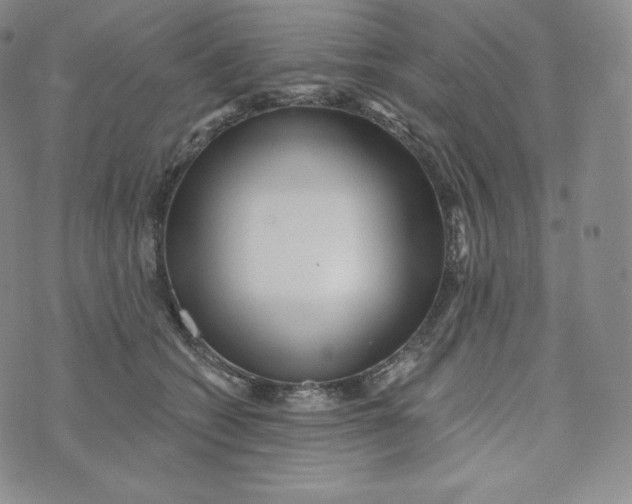 X0000074010562200609111626