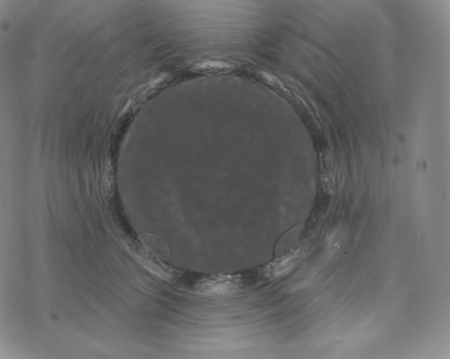 X0000074010563200609111626