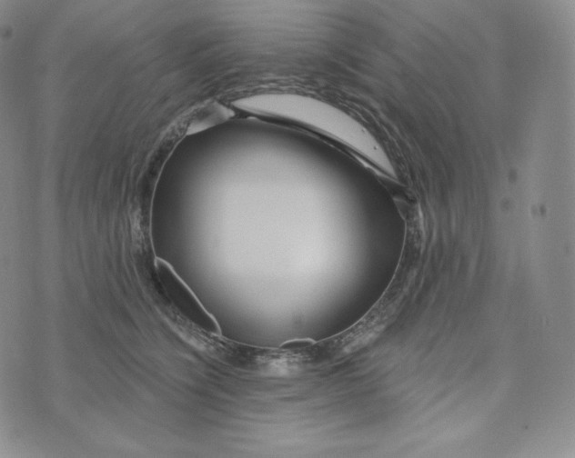 X0000074010564200609111626