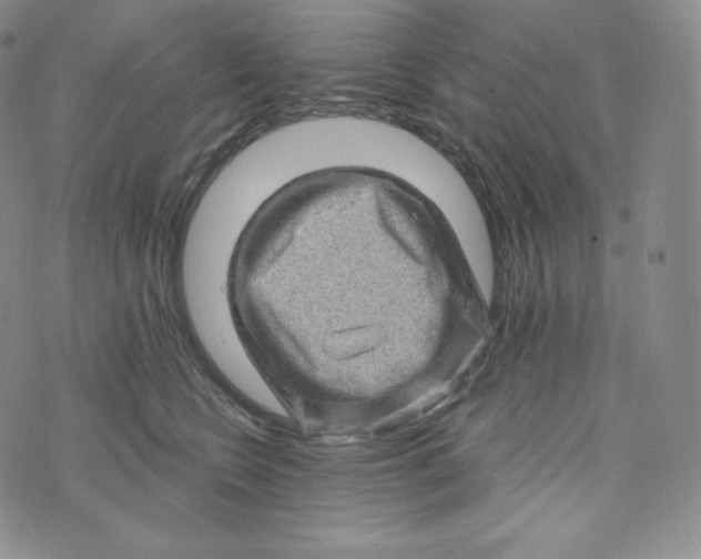 X0000074010566200609111626