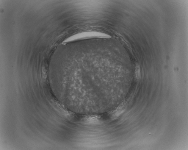 X0000074010569200609111626