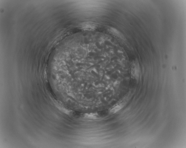 X0000074010573200609111627