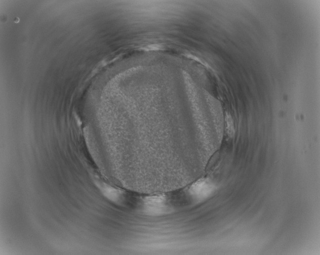 X0000074010574200609111627