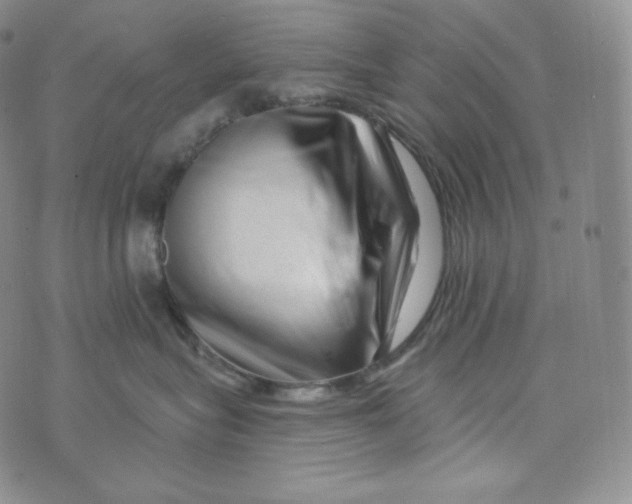 X0000074010575200609111627