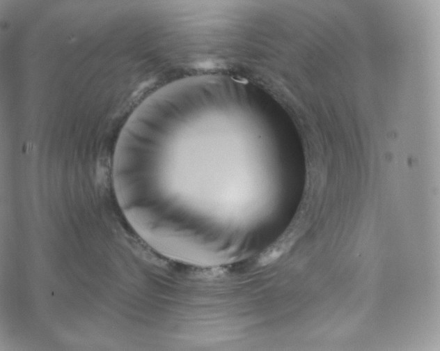 X0000074010576200609111627