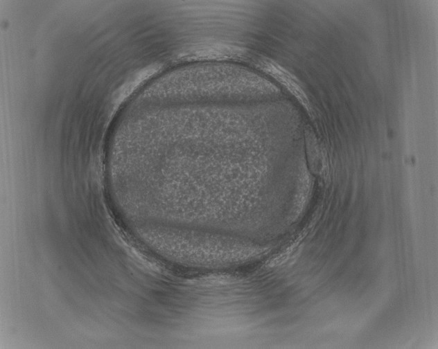 X0000074010578200609111626