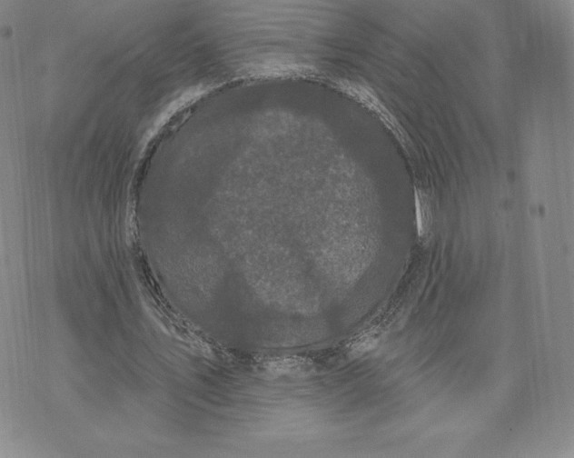 X0000074010579200609111626