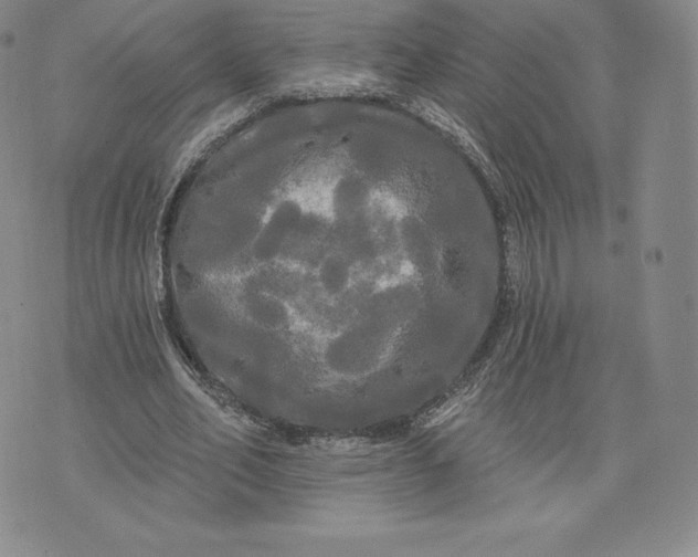 X0000074010582200609111626