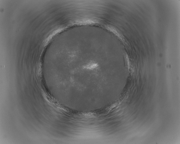 X0000074010583200609111626