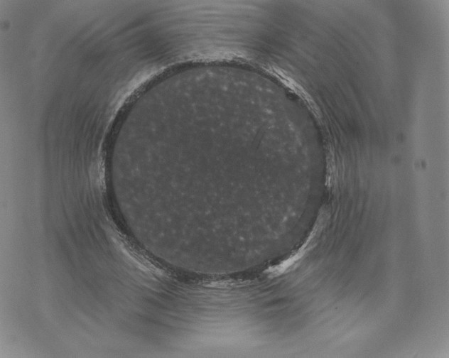 X0000074010584200609111626