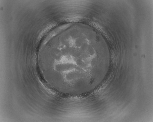 X0000074010586200609111626