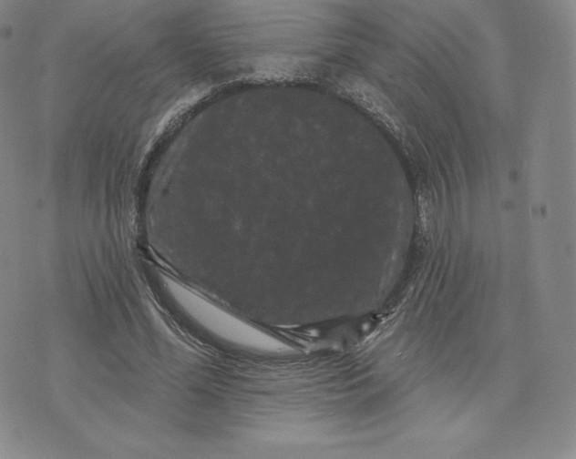 X0000074010588200609111626