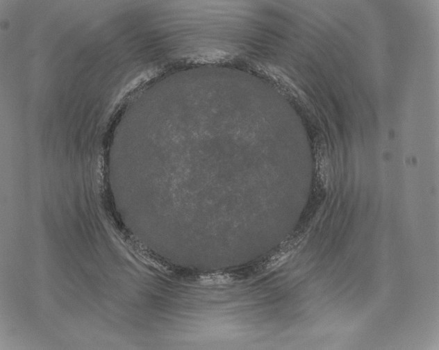 X0000074010591200609111626