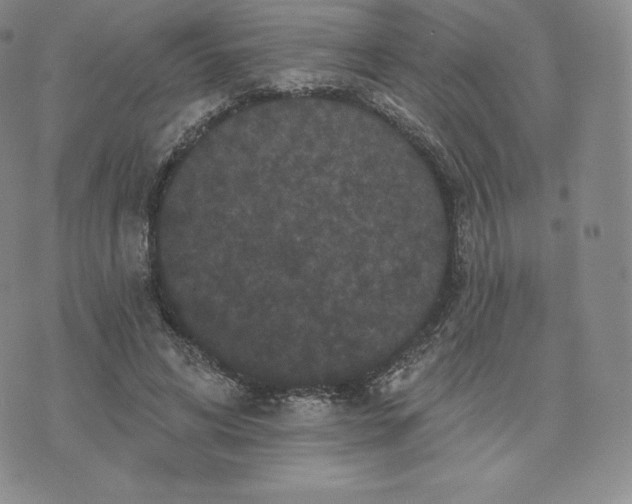 X0000074010592200609111626