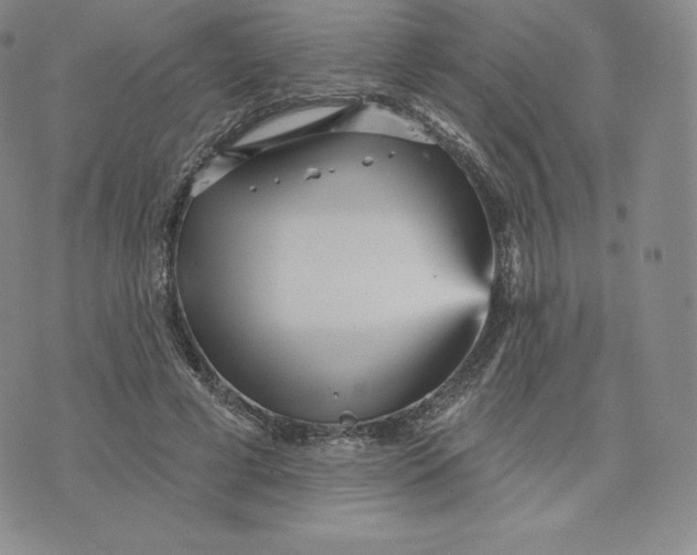 X0000074010593200609111626