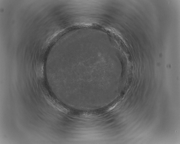 X0000074010596200609111625