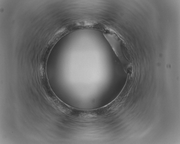 X0000074010597200609111625