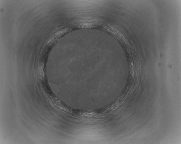 X0000074010599200609111625