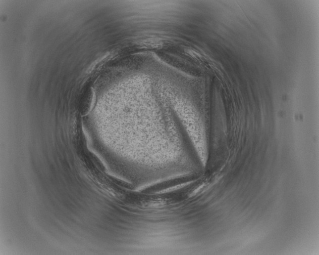 X0000074010600200609111625