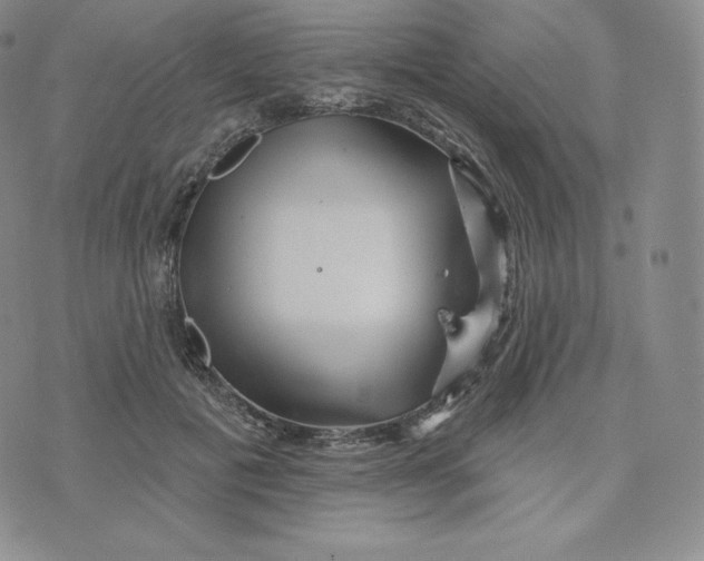 X0000074010601200609111625