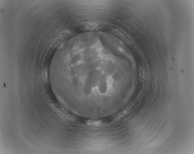 X0000074010602200609111625