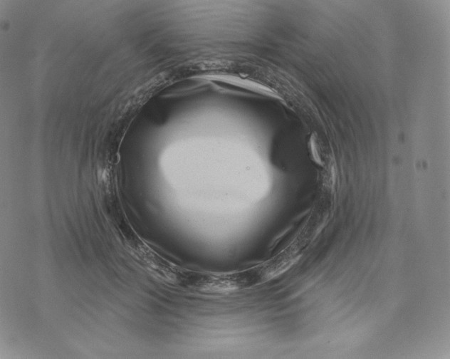 X0000074010604200609111625