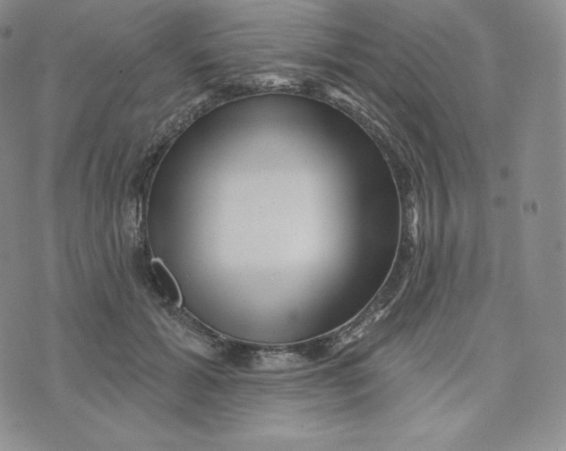 X0000074010605200609111625