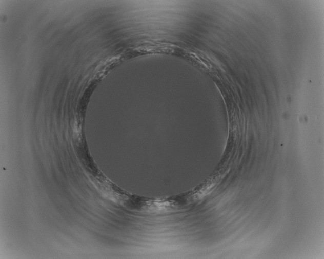 X0000074010607200609111625