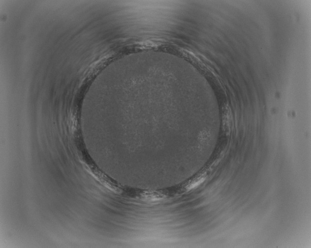 X0000074010608200609111625