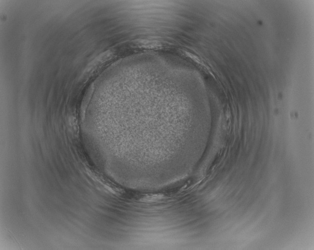 X0000074010609200609111625