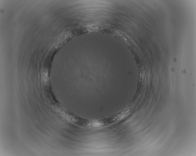 X0000074010610200609111625