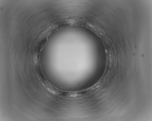 X0000074010611200609111625