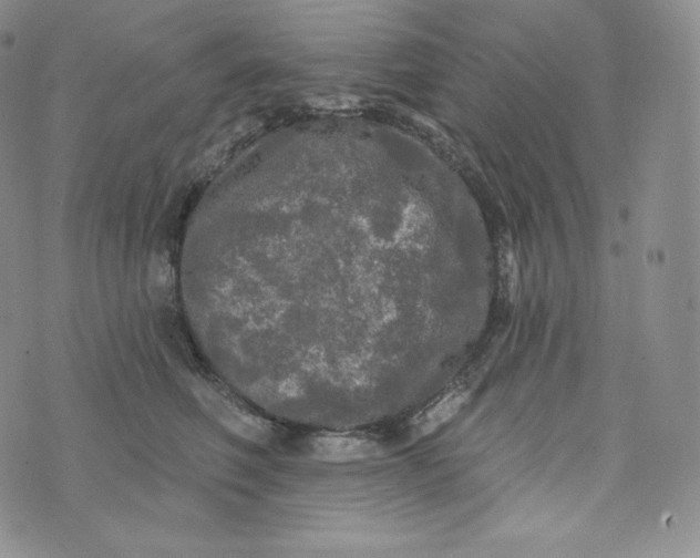 X0000074010614200609111625