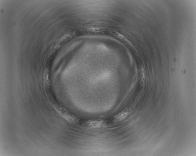 X0000074010615200609111625