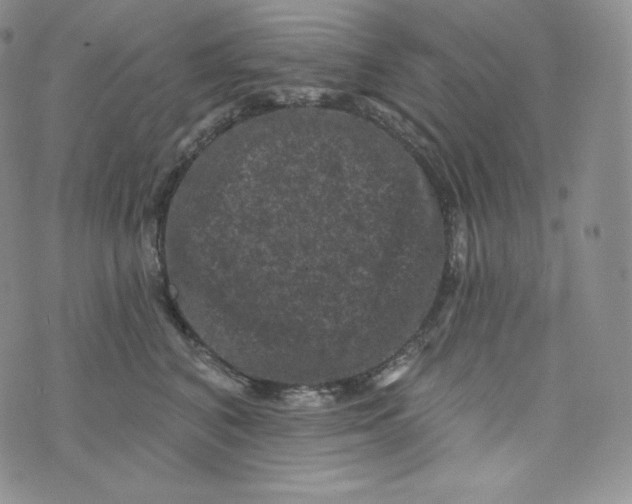 X0000074010616200609111625