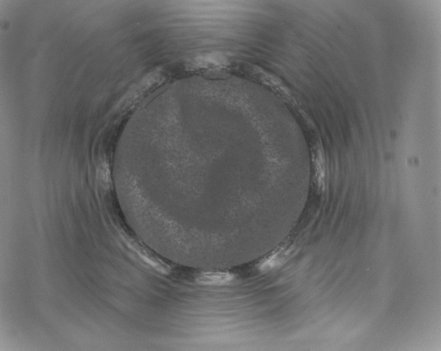 X0000074010617200609111625